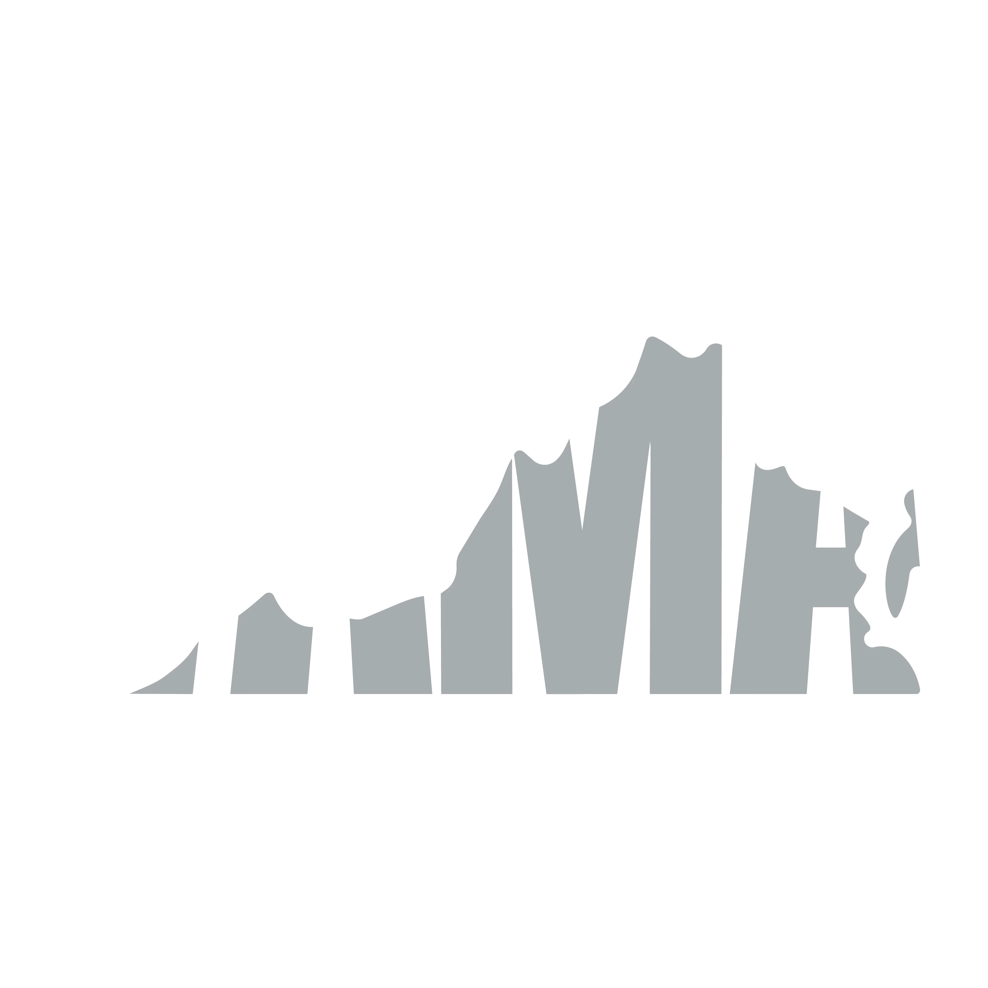 VAMA member